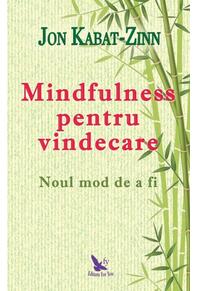 Copertă produs Mindfulness pentru vindecare