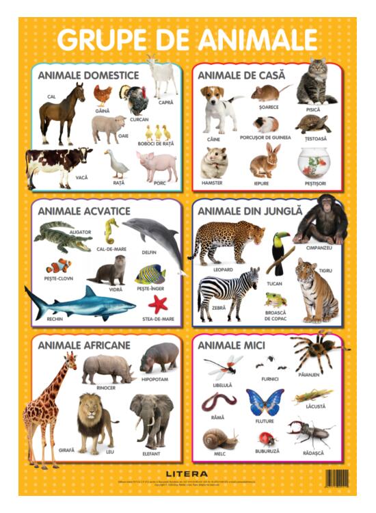 Copertă produs Animale. Planșe educaționale - gallery big 1
