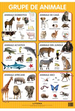 Copertă produs Animale. Planșe educaționale