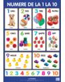 Copertă produs Numere de la 1 la 10. Planșe educaționale - thumb 1