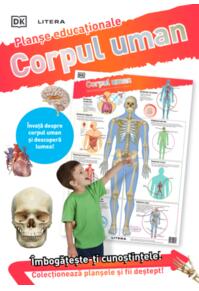 Copertă produs Corpul uman. Planșe educaționale