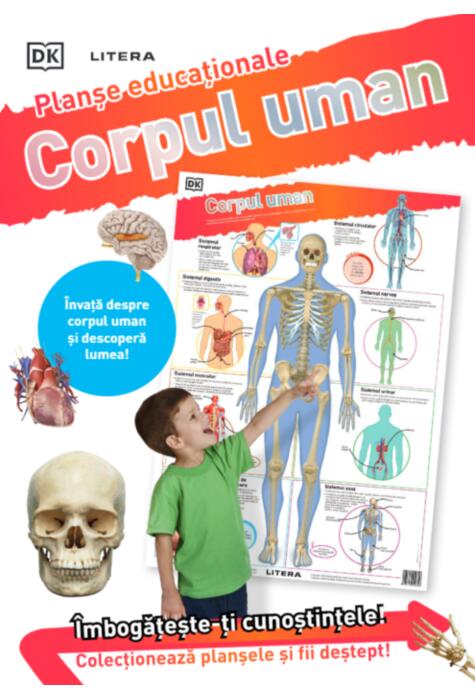 Copertă produs Corpul uman. Planșe educaționale