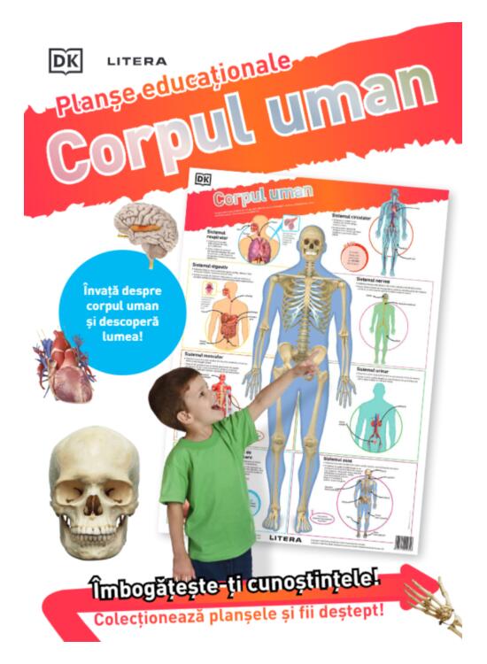 Copertă produs Corpul uman. Planșe educaționale - gallery big 2
