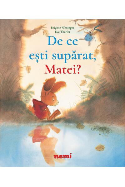 De ce ești supărat, Matei?