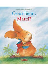 Copertă produs Ce ai făcut, Matei?