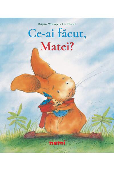 Ce ai făcut, Matei?