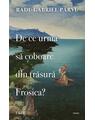 Copertă produs De ce urma să coboare din trăsură Frosica? - thumb 1