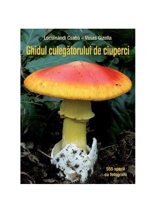 Copertă produs Ghidul culegătorului de ciuperci. 555 specii cu fotografii - gallery big 1