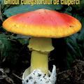 Copertă produs Ghidul culegătorului de ciuperci. 555 specii cu fotografii - gallery small 