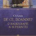 Copertă produs De ce, Doamne? - gallery small 