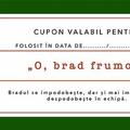 Copertă produs Cupoane - de Crăciun - gallery small 