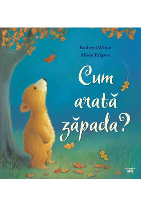 Copertă produs Cum arată zăpada?