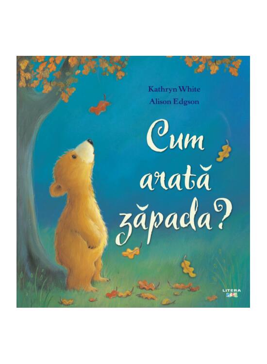 Copertă produs Cum arată zăpada? - gallery big 1