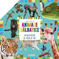 Copertă produs Animale sălbatice. Carte pop-up. Descoperă și joacă-te! - gallery small 
