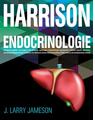 Copertă produs Harrison. Endocrinologie - thumb 1