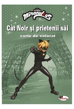 Copertă produs Cat Noir și prietenii săi. Carte de colorat