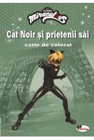 Imagine produs Cat Noir și prietenii săi. Carte de colorat