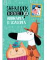 Copertă produs Sherlock Bones și adunarea și scăderea - thumb 1