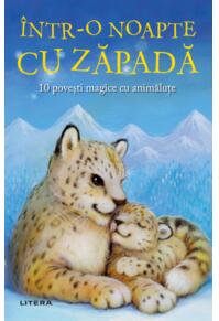Copertă produs &Icirc;ntr-o noapte cu zăpadă