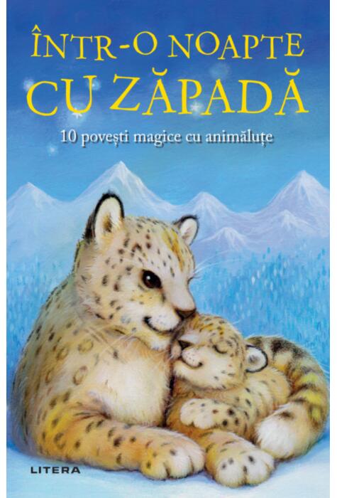 Copertă produs &Icirc;ntr-o noapte cu zăpadă