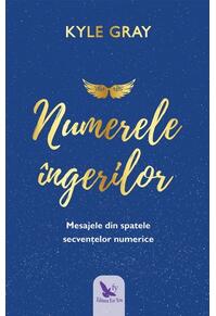 Copertă produs Numerele îngerilor