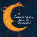Copertă produs Leacuri pentru frica de necunoscut - gallery small 