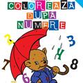 Copertă produs Colorează după numere. Invăț să colorez - gallery small 
