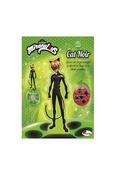 Eu sunt Cat Noir