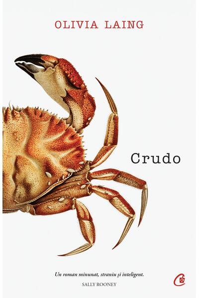 Crudo