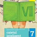 Copertă produs Caietul inteligent. Literatură, limba rom&acirc;nă, comunicare. Pentru clasa a VII-a. Semestrul II - gallery small 