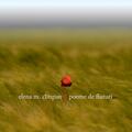 Copertă produs Poeme de fluturi - gallery small 