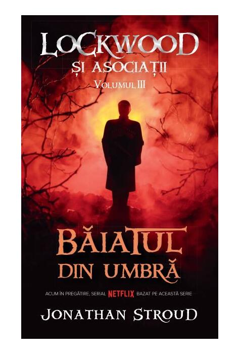 Copertă produs Băiatul din umbră. Seria Lockwood și asociații (Vol.3)
