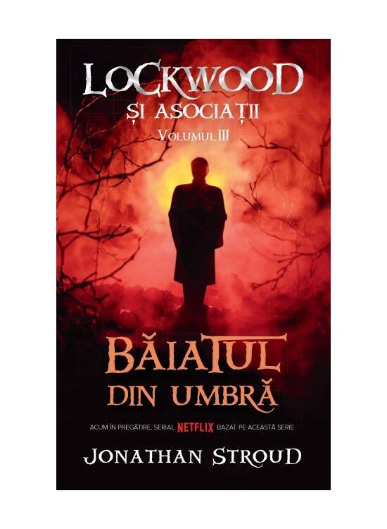 Copertă produs Băiatul din umbră. Seria Lockwood și asociații (Vol.3) - gallery big 1