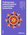 Copertă produs Psihoterapia psihodinamică a pacienților borderline - thumb 1