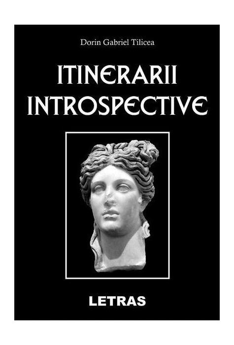 Copertă produs Itinerarii introspective