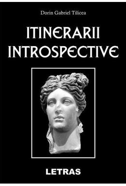 Copertă produs Itinerarii introspective