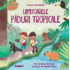 Copertă produs Uimitoarele păduri tropicale
