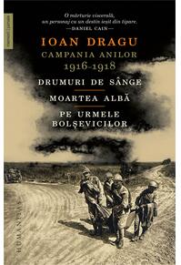 Copertă produs Campania anilor 1916&ndash;1918
