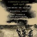 Copertă produs Campania anilor 1916&ndash;1918 - gallery small 