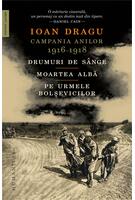 Imagine produs Campania anilor 1916&ndash;1918