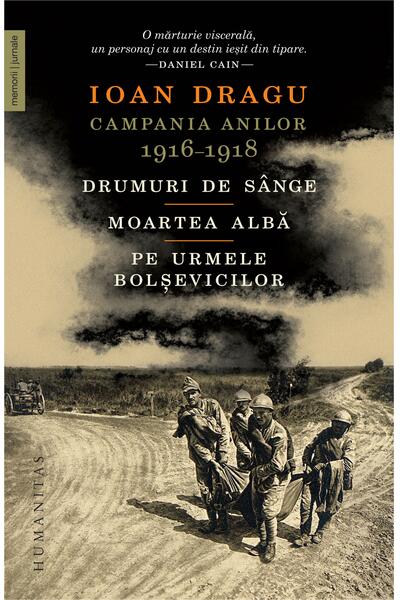 Campania anilor 1916&ndash;1918