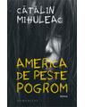 Copertă produs America de peste pogrom - thumb 1