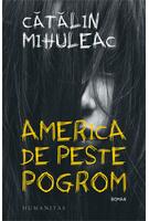 Imagine produs America de peste pogrom