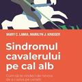 Copertă produs Sindromul cavalerului pe cal alb. Cum să te vindeci de nevoia de a-i salva pe ceilalți - gallery small 