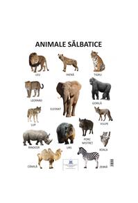 Copertă produs Planșă - Animale sălbatice