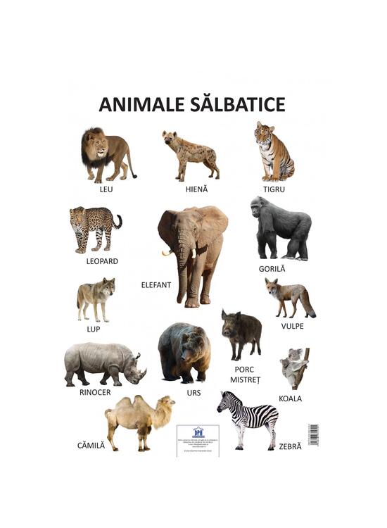 Copertă produs Planșă - Animale sălbatice - gallery big 1