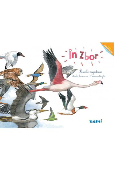&Icirc;n zbor