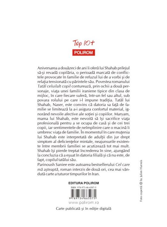 Copertă produs Tatăl celuilalt copil (Top 10+) - gallery big 2