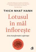 Lotusul &icirc;n m&acirc;l &icirc;nflorește