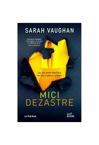 Copertă produs Mici dezastre